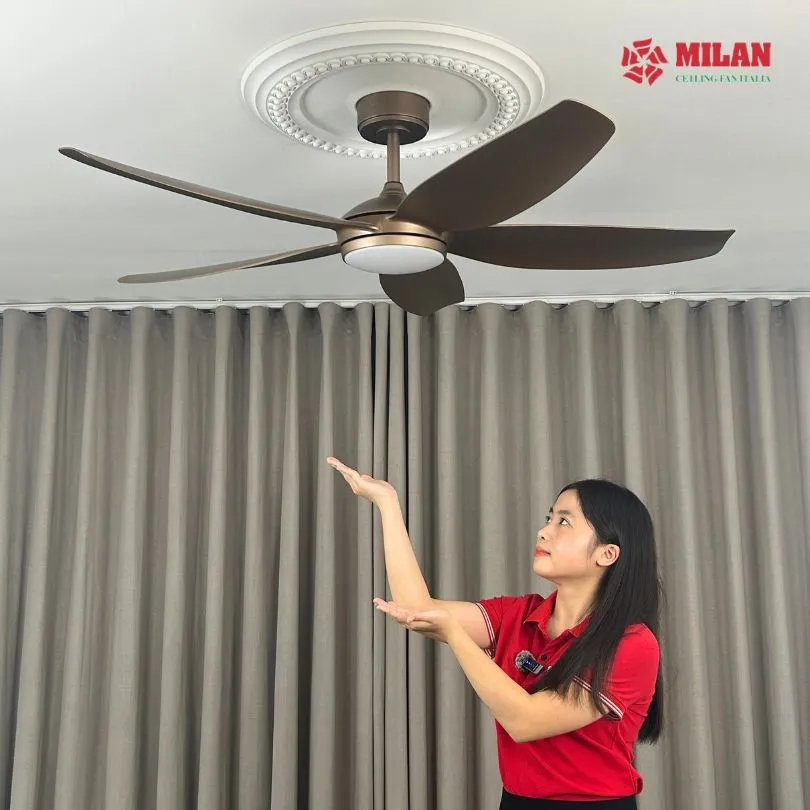 quat-tran-trang-tri-dep-3